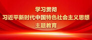 插你騒逼学习贯彻习近平新时代中国特色社会主义思想主题教育_fororder_ad-371X160(2)